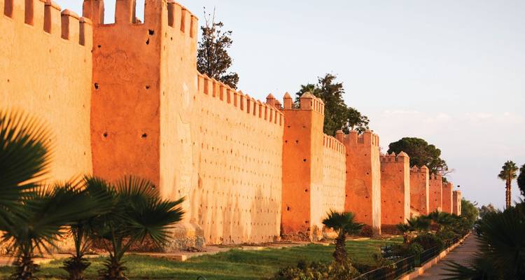 Larga fortificación naranja con torres y vegetación, bajo cielo despejado.