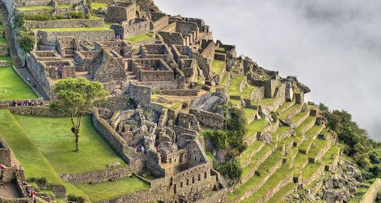 Steinmauern und komplexe Ruinen von Machu Picchu, die einen nebelbedeckten Berghang hinabführen.