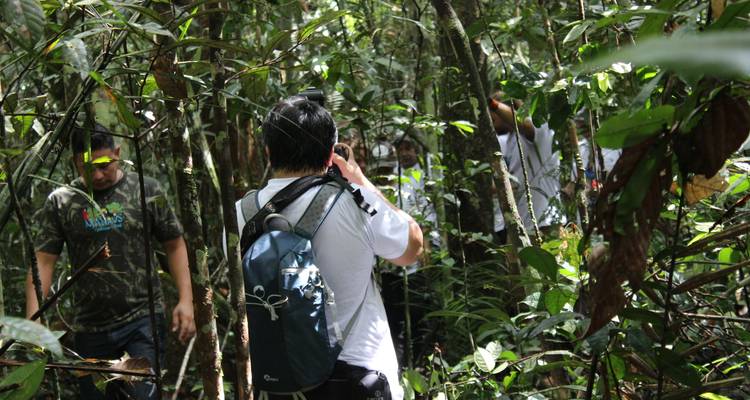 Personas caminando a través de una densa jungla tropical.