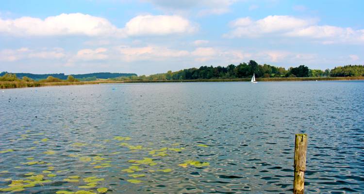 Kalm zoetwatermeer met waterlelies op de voorgrond en een eenzame witte zeilboot die over het blauwe water glijdt onder een gedeeltelijk bewolkte hemel.