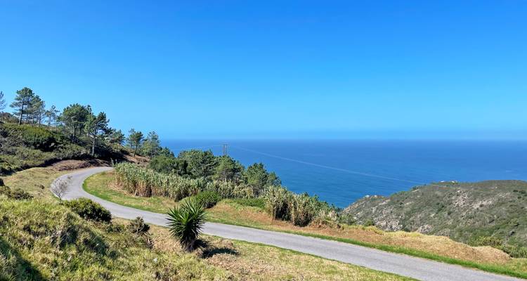 Carretera rural sinuosa que desciende hacia el océano azul profundo con colinas verdes y horizonte despejado.
