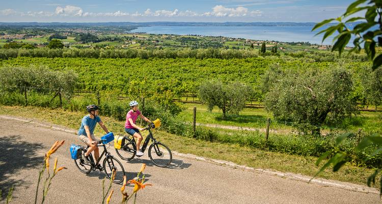 Un couple à vélo traverse les vignobles qui surplombent la campagne vallonnée et le lac lointain.
