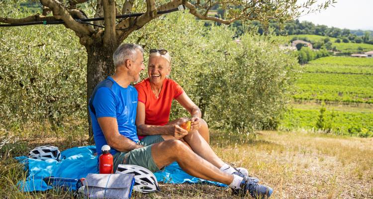 Un couple souriant en tenue de cyclisme savoure un pique-nique sous un olivier surplombant des vignobles verdoyants.