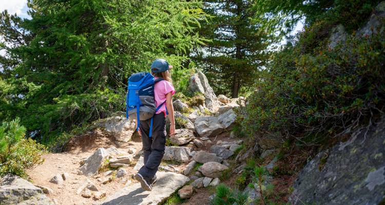Un joven excursionista en un sendero rocoso de montaña rodeado de árboles.