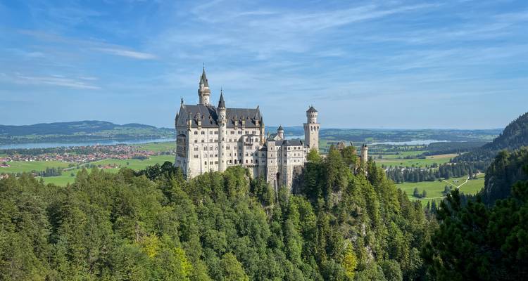El Castillo de Neuschwanstein en la cima de una colina rodeado de bosques y campos verdes.