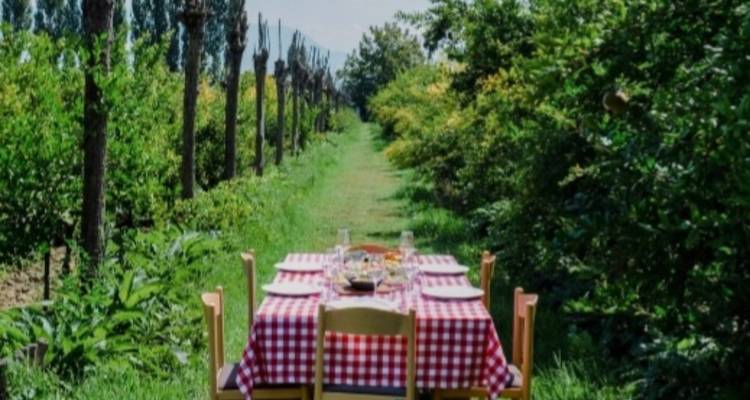 Mesa puesta con un mantel a cuadros en un campo de hierba con árboles bordeando el sendero.