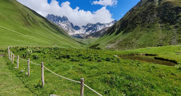 Valle verde y exuberante con montañas cubiertas de nieve en el fondo.