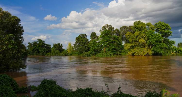 Large rivière boueuse bordée d'arbres tropicaux denses sous un ciel partiellement nuageux de fin d'après-midi.