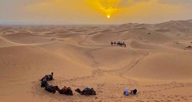 Caravana de camellos descansando al atardecer en las dunas de arena