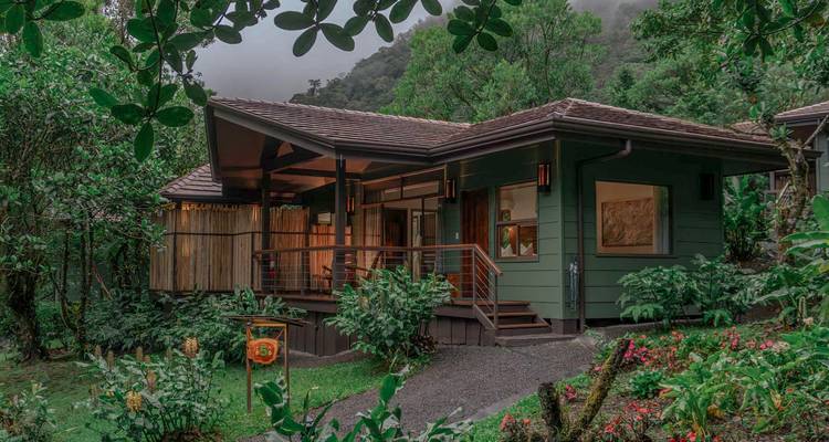 Charmant bungalow en bois vert entouré de plantes fleuries et de collines de forêt tropicale brumeuse.