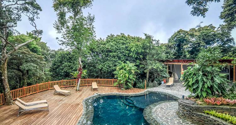 Terrasse en bois et piscine de forme libre en pleine jungle bordée d'une végétation dense et verdoyante.