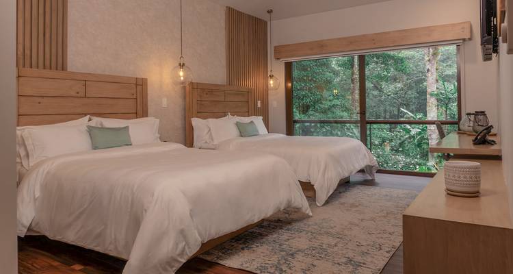 Chambre d'hôtel avec deux lits simples, agréablement éclairée, dotée d'accents en bois et d'une fenêtre donnant sur une végétation luxuriante.