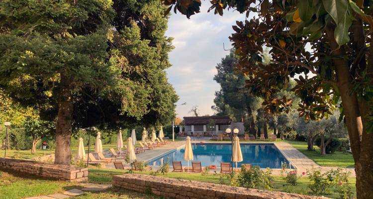 Serene hotel pool surrounded by trees and sun loungers in garden setting