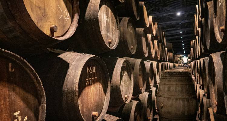 Des rangées de fûts de chêne anciens à l'intérieur d'une cave à vin portugaise faiblement éclairée