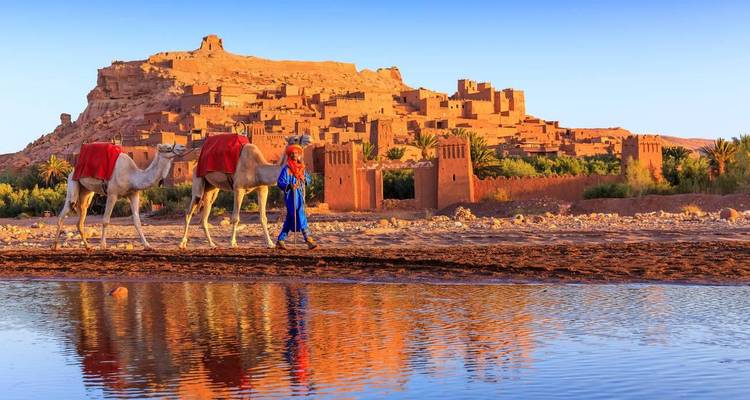 Caravana de camellos con un guía frente a Ait Benhaddou