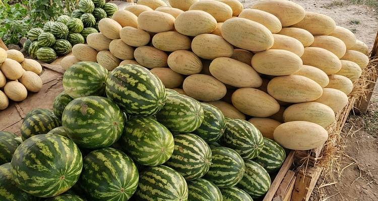 Stacked piles of fresh watermelons and yellow melons at an outdoor market stall.