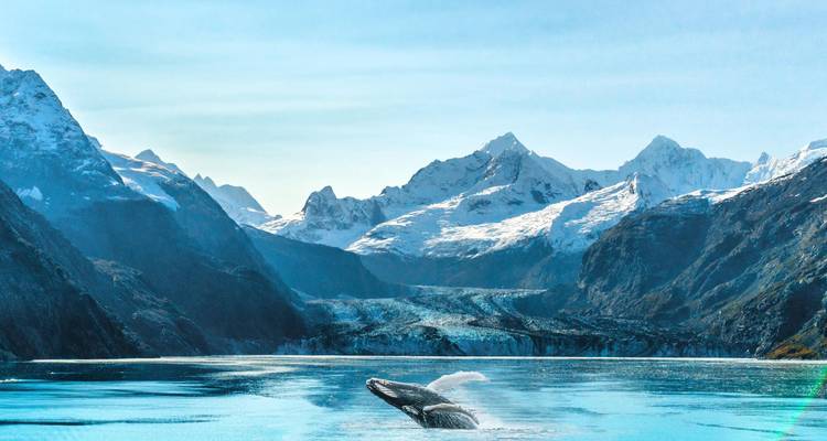 A humpback whale breaches in icy blue water backed by snow-capped mountains and a glacier.
