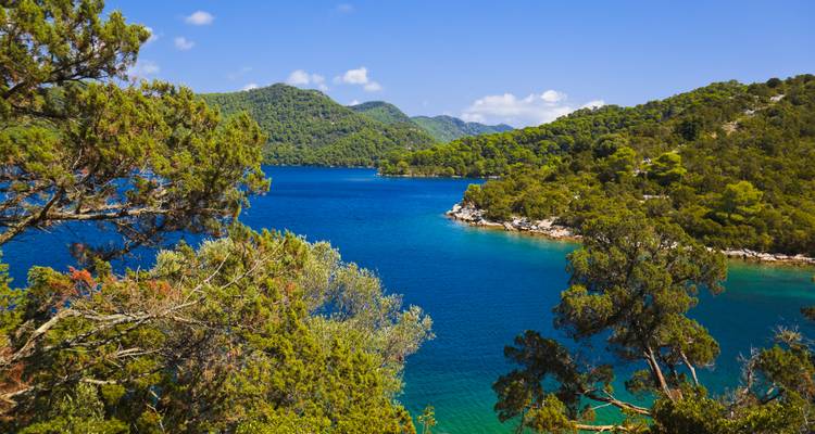 Lush green island and sapphire waters of a secluded Croatian national park bay