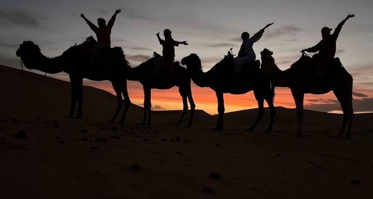 Caravane de chameaux en silhouette devant un ciel de coucher de soleil flamboyant au-dessus des sables du désert.