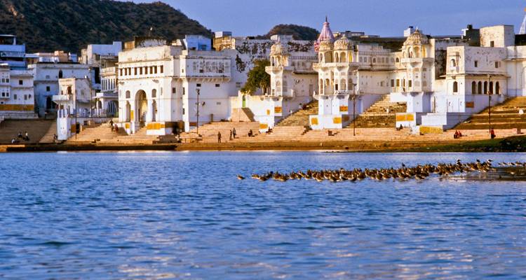 Weiß getünchte Ghats und Tempel säumen das Ufer des Pushkar-Sees, während Vögel über das Wasser gleiten.