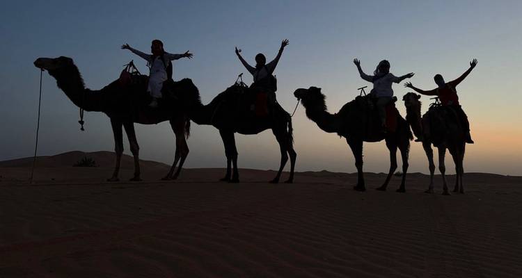 Silhouettes de quatre cavaliers sur des chameaux levant les bras sur un fond de coucher de soleil dans le désert