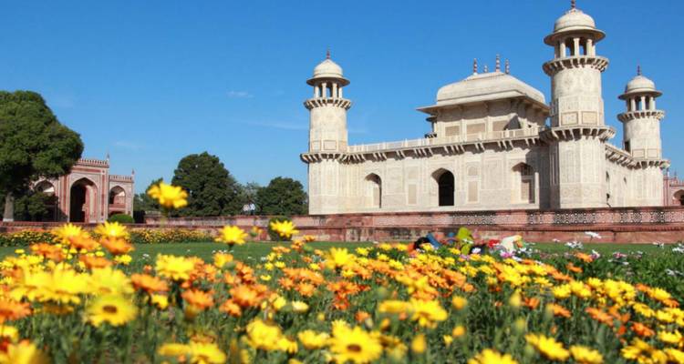 Itimad-ud-Daulah Mausoleum gerahmt von blühenden gelben Gänseblümchen unter klarem Himmel.