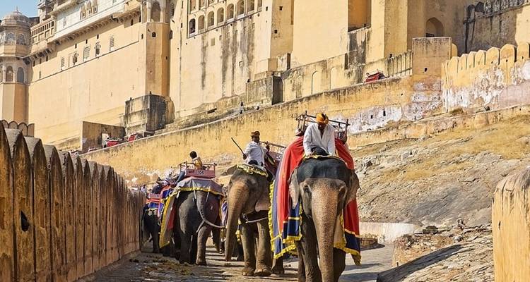 Geschmückte Elefanten mit Reitern erklimmen die Festungswälle der gelben Mauern des Amber Forts.