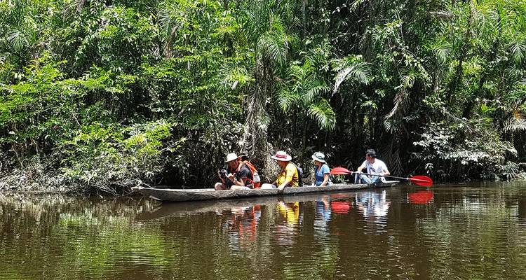 Pequeño grupo remando una canoa tallada a través de un canal selvático tranquilo bordeado por palmeras espesas.