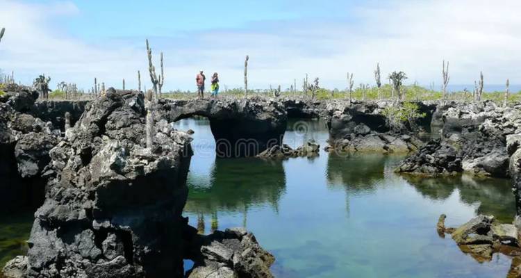 Besucher, die auf einem natürlichen Lavabogen über klaren Gezeitentümpeln auf der Insel Isabela stehen.