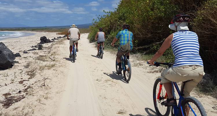 Radfahrer, die mit dickreifigen Fahrrädern auf einem sandigen Strandweg unter blauem Himmel fahren.