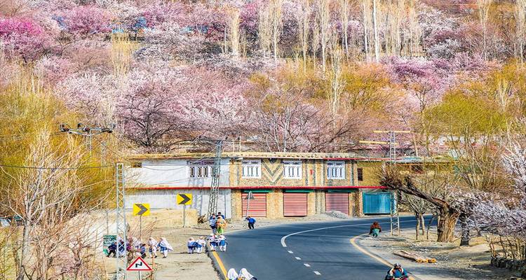 Landweg kronkelt door een dorp omgeven door kleurrijke lentebloesems met locals die wandelen en fietsen.