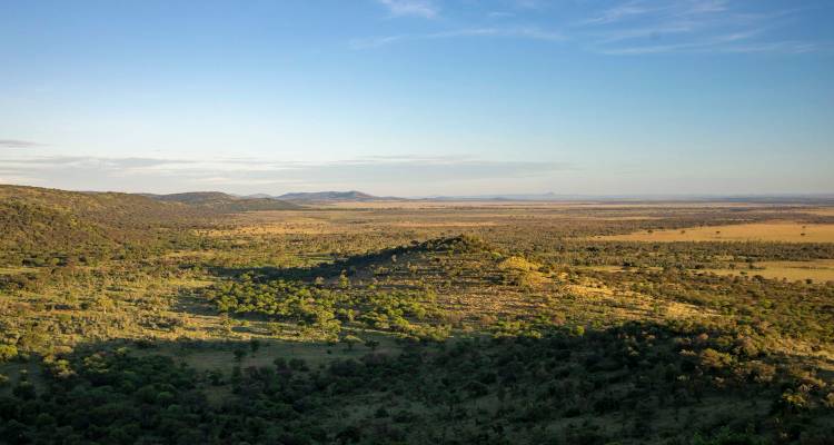 Expansive aerial view of mixed woodland and open grasslands stretching to the horizon under a clear sky.