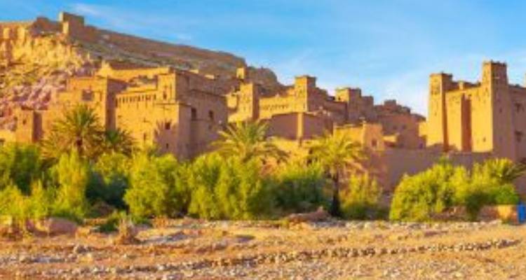Sunlit adobe kasbah rising above palm trees at Ait Benhaddou.