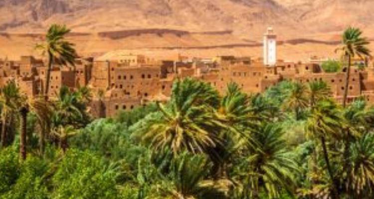 Lush palm oasis and mud-brick village nestled beneath arid mountains in Morocco.