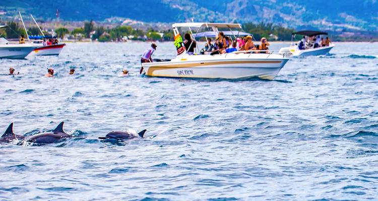 Tourists on speedboats watching a pod of dolphins swimming in bright blue ocean water
