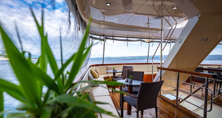 Stylish aft deck seating area framed by a green plant with coastal scenery in the background.