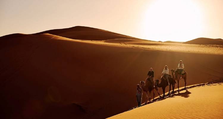 Kamelkarawane mit Reisenden entlang des Kamms einer goldenen Sanddüne im warmen Abendlicht.