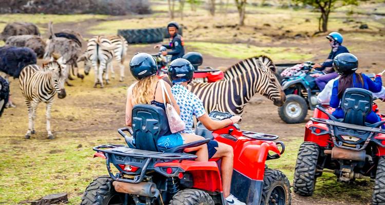 Turistas montando cuatrimotos entre cebras y avestruces en una reserva natural