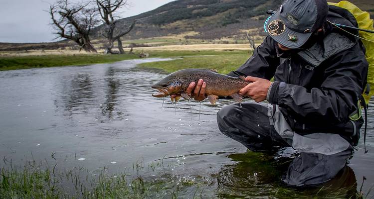 Un pêcheur s'agenouille dans un ruisseau limpide, tenant fièrement une truite devant un paysage patagonien accidenté.
