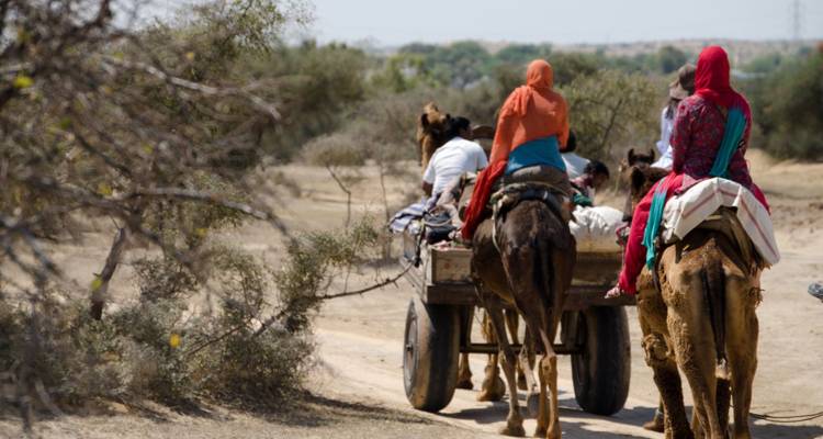 Lokale vrouwen rijden op een kameelkar langs een stoffig woestijnpad omringd door schaarse struiken.