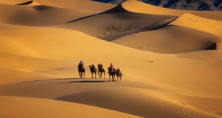 Trois cavaliers de chameaux traversent d'immenses dunes dorées sous la douce lumière du soir dans un vaste paysage désertique.