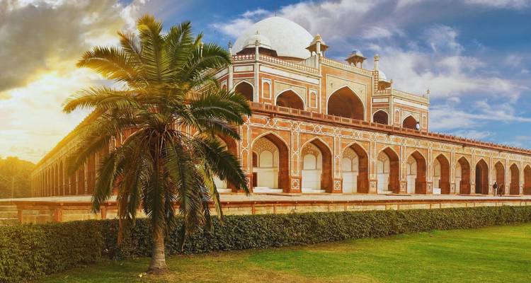 Humayun's Tombe gebaad in warm zonlicht met een palmboom en gemanicuurd gazon op de voorgrond.