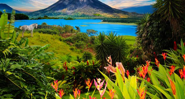 Kleurrijke tropische tuin die een helderblauw meer omlijst met een rokende vulkaan op de achtergrond en een eenzaam paard dat graast op groene weide.