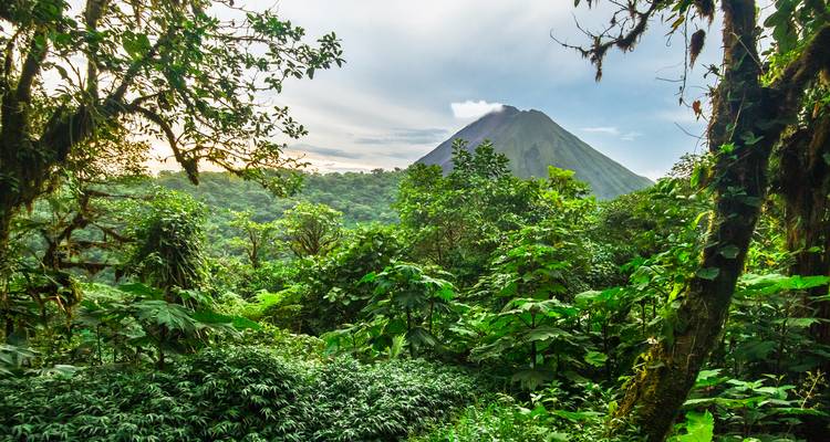 Weelderige groene jungle die opengaat om een symmetrische vulkanische piek te onthullen onder een zachte ochtendhemel.