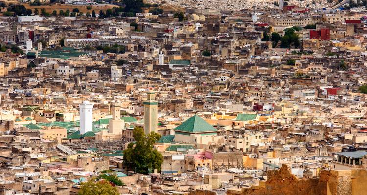 Expansive aerial view of Fes Medina’s dense rooftops with green-tiled mosques punctuating the skyline.