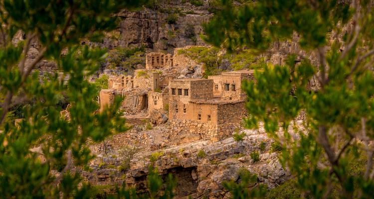 Abandoned stone villages cling to a rugged canyon cliff framed by greenery in Oman's Jebel Akhdar region.