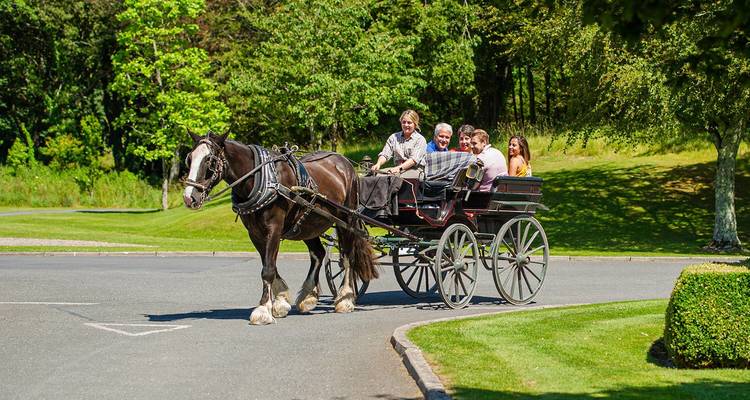 Horse-drawn carriage carrying visitors along a paved road bordered by manicured green parkland on a sunny day.
