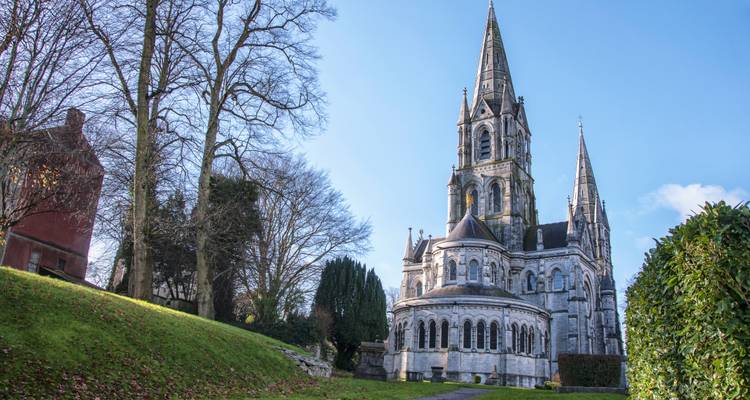 St. Fin Barre’s Cathedral in Cork rising above a grassy slope and winter trees.