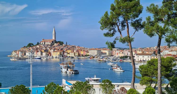 Vue côtière des bâtiments colorés et du clocher de Rovinj vus à travers les eaux calmes du port encadrées par des pins.