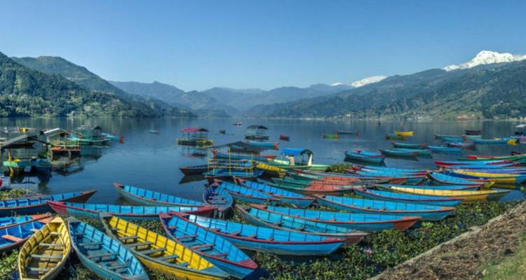 Felgekleurde houten boten drijvend op het rustige Phewa-meer met de met sneeuw bedekte Annapurna-keten op de achtergrond